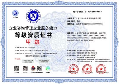 企業(yè)咨詢管理企業(yè)服務(wù)能力 等級(jí)證書(shū)